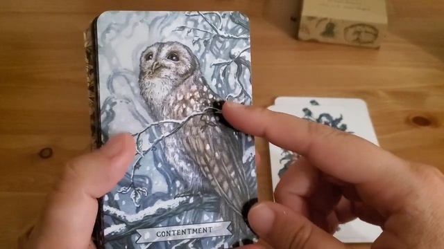 Unboxing and Flipthrough of Thistledown Oracle смотреть онлайн