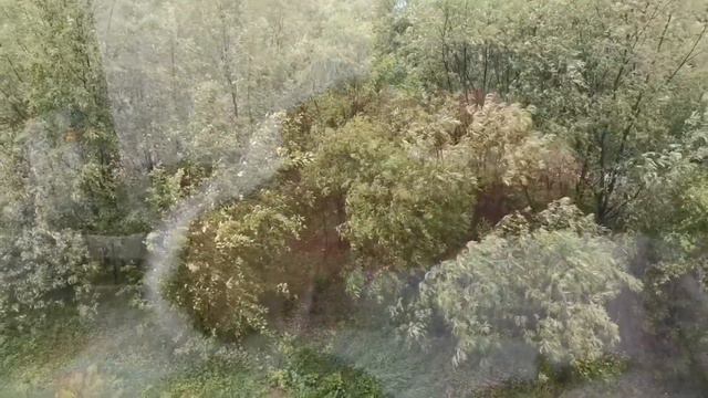 Т/б при пандемии//Вакцина безопасна? //у нас Д. В. Ветер деревья гнёт //3.06.2021г смотреть онлайн