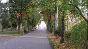 Гомельский парк.Беларусь.