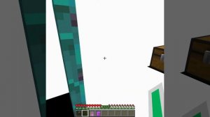 Immersive Portals Doors in Minecraft