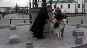 Русская Псовая Borzoi - Соло Любимого Яхонт