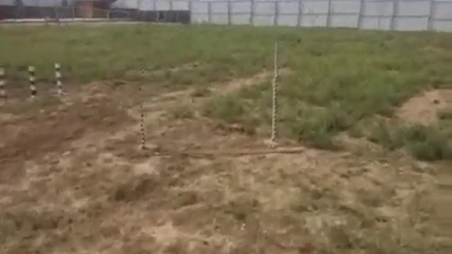 Тренировочная площадка для собак смотреть онлайн