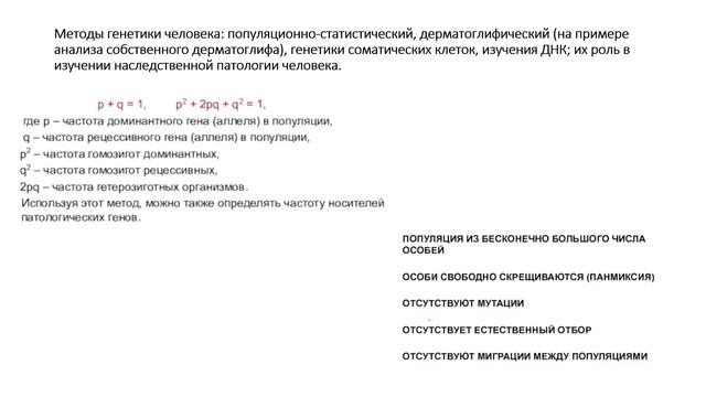 Экзамен по биологии | МГК. МЕТОДЫ ИССЛЕДОВАНИЯ ЧЕЛОВЕКА