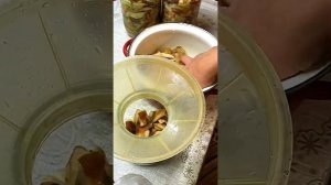 Солю грибы волнушки холодным способом