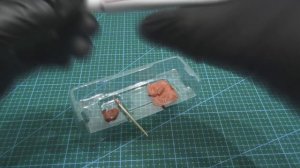 Сборная модель корабля на 3д принтере