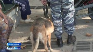 О мерах безопасности на жд вокзале Симферополь рассказали сотрудники транспортной полиции Крыма