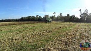 Уборка пшеницы 2017, комбайн ДОН-1500Б