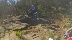 Honda xr650 enduro