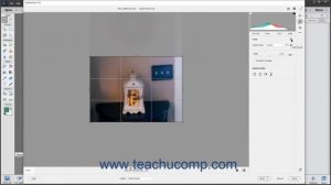 Photoshop Elements 2021 Tutorial Crop and Rotate Tools in Camera Raw Adobe Training