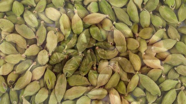 Зеленый кардамон - король специй смотреть онлайн