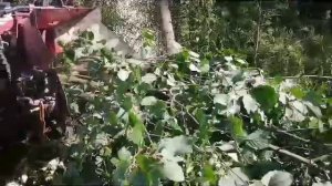 Работа измельчителя стволов и веток деревьев