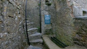 КАМЕНЬ КРАСНОРЕЧИЯ в самом известном замке Ирландии // Бларни