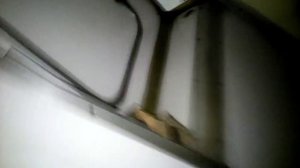 Обзор багажного вагона серия 8