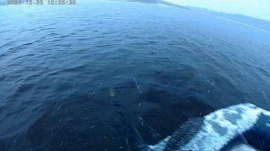 Осенняя рыбалка сетями на Вилюйском водохранилище