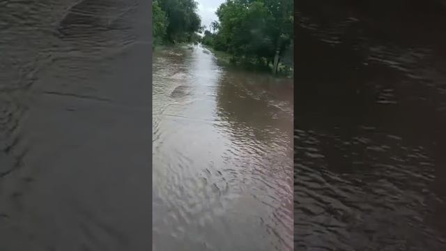 Ливень в Одесской области Арцыз Сарата