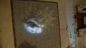 Лучшие дорамы в жанре фантастика. Фантастика жанрындағы үздік дорамалар!