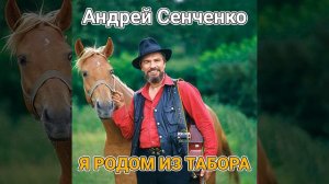Венгерка - Александр Колпаков и Андрей Сенченко
