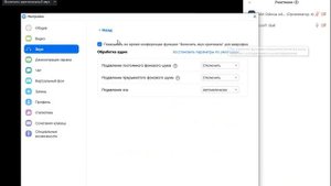 Как отключить шумоподавление в zoom на компьютере