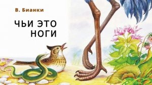 аудио сказка "Чьи это ноги". Виталий Бианки