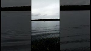 Обзор лодки "Ротан" 410