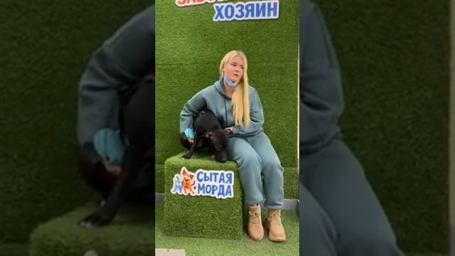 Ольга Дубровина и собака Джои. Ветклиника Сытая Морда