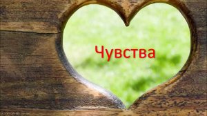 Чувства