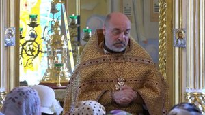 И бесы просили Его: пошли нас в стадо свиней.