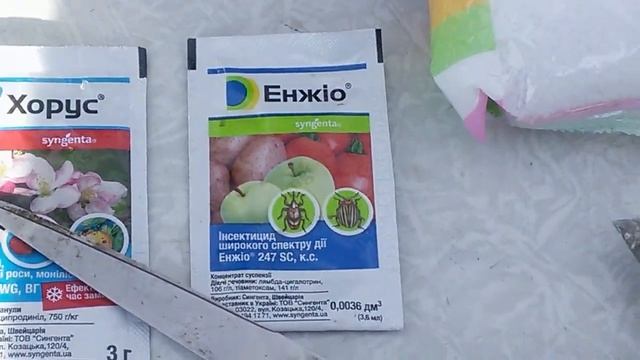 Хрущ, долгоносик, защита от инфекций фундука, первый внос удобрений.