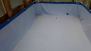 Как построить теплицу своими руками!!! Бассейн внутри теплицы!!!