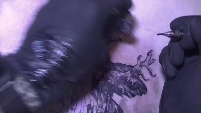 The eagle - Tattoo time lapse смотреть онлайн