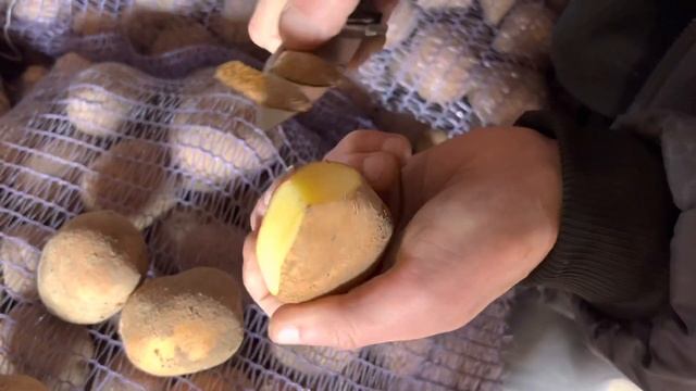 Если санкции ужесточат, у нас будет, что бросить в землю. Есть чем заменить импортные семена смотреть онлайн