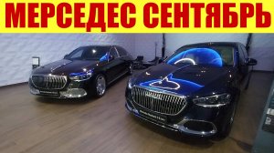 МЕРСЕДЕС - КРАСИВО ЖИТЬ НЕ ЗАПРЕТИШЬ! 😎 Неадекватные цены в сентябре. 💵😱