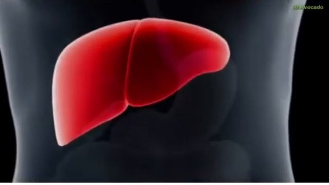 Финики, о них говорил Пророк Мухаммад (с.а.с) смотреть онлайн