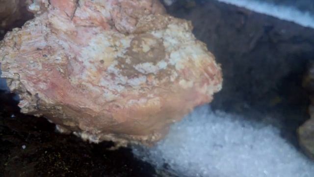 Глина белая, жолтая, красная, серая смотреть онлайн