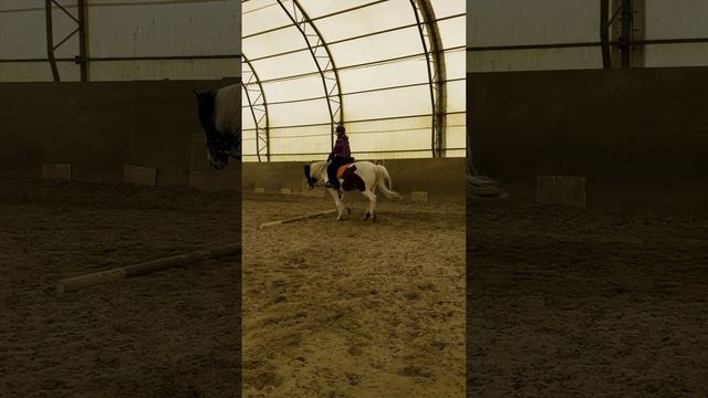 Кто к нам на тренировку? 😃
На видео Тася и ее любимый Лунтик. 🤗