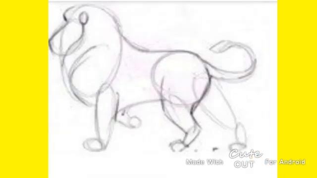 Нарисовать льва карандашом. Лев для срисовки. Лев для срисовки. Лев для срисовки. Лев рисунок карандашом для детей.