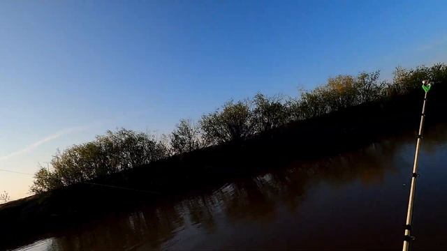 Рыбалка в НСО 2023. Карась-сазан