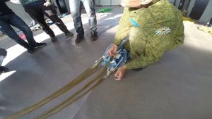 Укладка Мальвы24