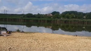 Секрет ловли толстолоба