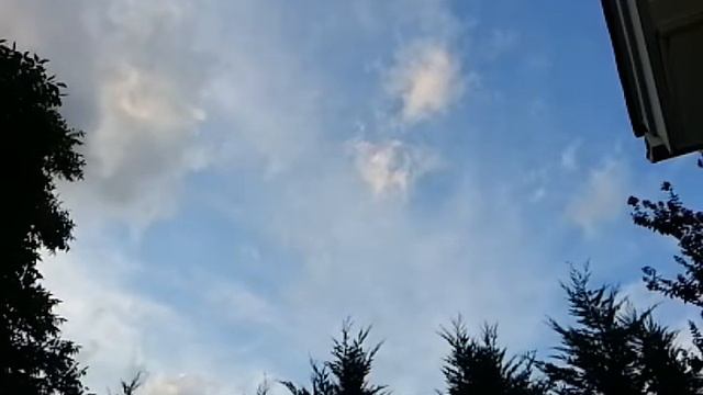 Disc shaped UFO recorded in slow motion at 120 fps!! Extremely Fast, seen at 5:50 in the video. смотреть онлайн