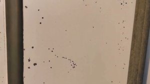 Ford Transit 2.2 TDCi MT (155 л.с.) 2018