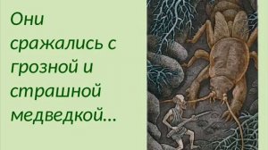 Буктрейлер по книге Яна Ларри "Необыкновенные приключения Карика и Вали"