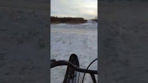 Разборный снегоход своими руками за 2недели