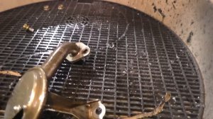 Toyota Prius и Greenol Reanimator - все предсказуемо.