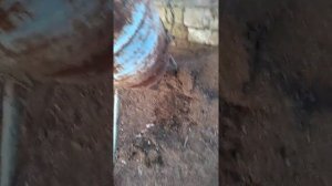 Дробилка для земли обзор