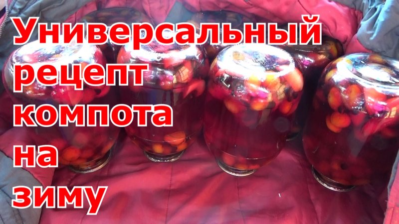 Компот на зиму из слив, яблок и черноплодки. Рецепт самого вкусного, быстрого и простого компота!