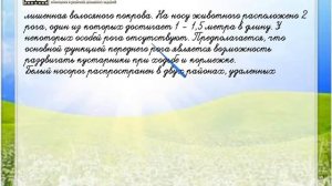 Задание 4 Международная красная книга - Окружающий мир 4 класс (Плешаков А.А.) 1 часть
