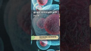 Почему фосфор важен для здоровья человека. Функции фосфора в организме