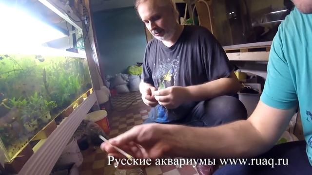 Магистраль для воздуха смотреть онлайн