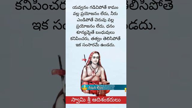 తత్వం తెలిస్తే సంసారం ఉండదు #adisankaracharya #kanchi #periyar